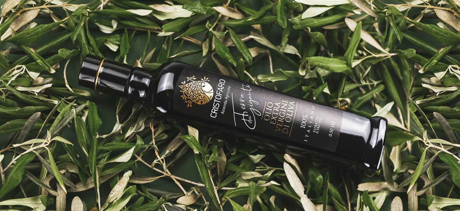 Olio Cristofaro, still life tra le foglie d'ulivo